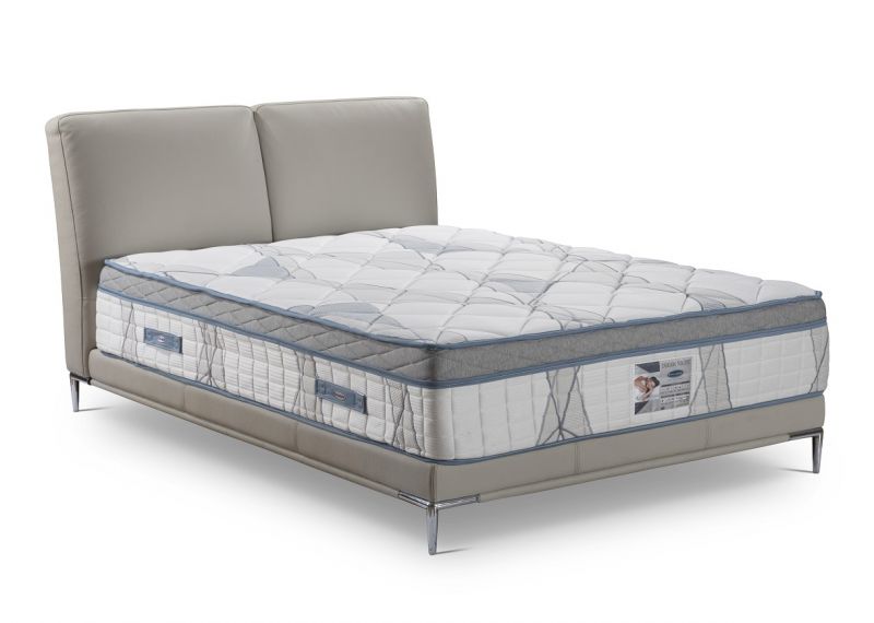     DREAM NIGHT